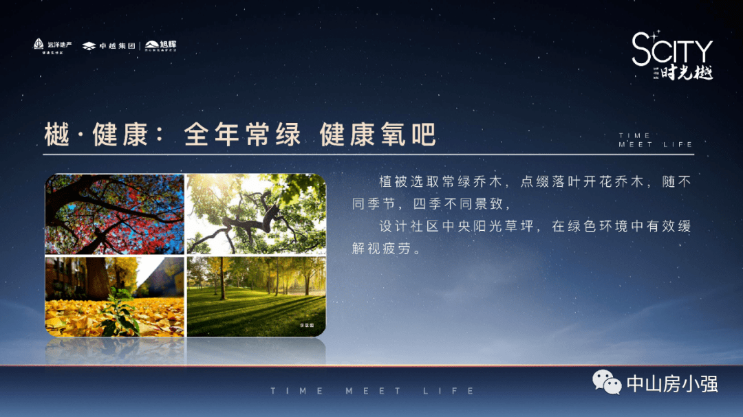 澳门新开奖结果2023年之探索与解析，资料精选与开奖记录概览