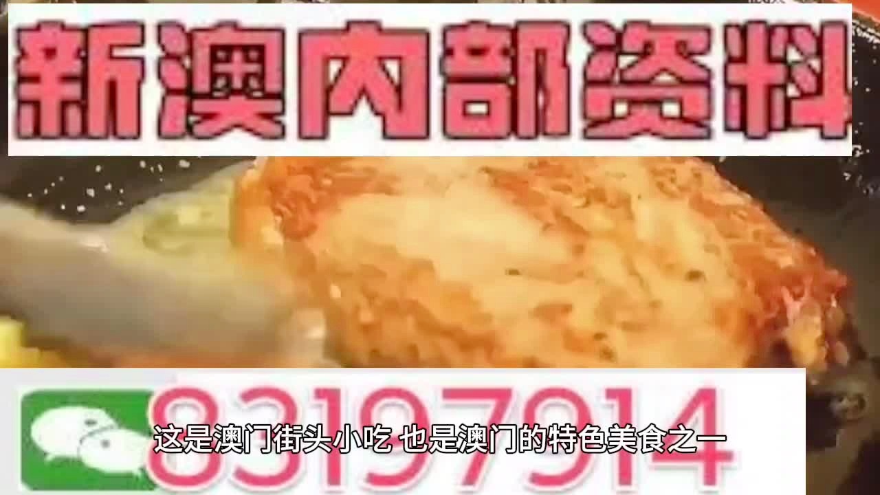 新澳门免费资料大全使用注意事项与精选资料解析大全