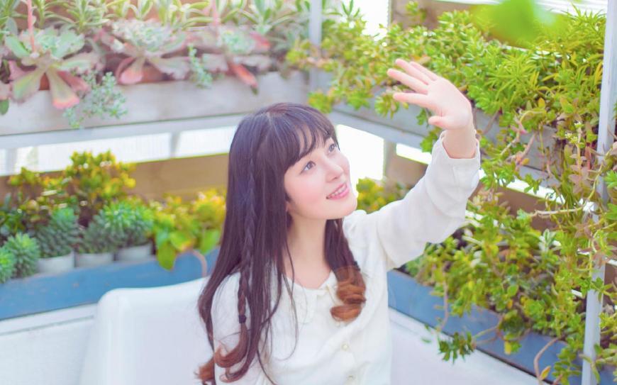 今晚四不像最准确一肖,今晚四不像最准确一肖——探寻神秘生肖预测之旅