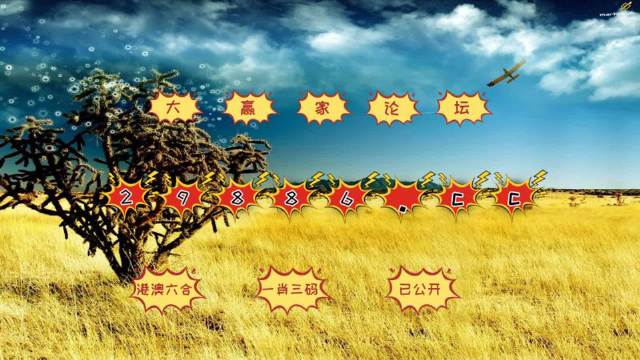 新澳门4949六开彩,新澳门4949六开彩，探索与解析