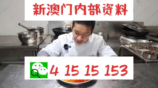 管家婆一码一肖100中奖,揭秘管家婆一码一肖100中奖，梦想与现实的交织