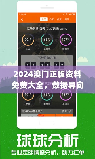 494949澳码今晚开什么123,探索澳码世界，今晚494949将开启怎样的神秘数字之门？